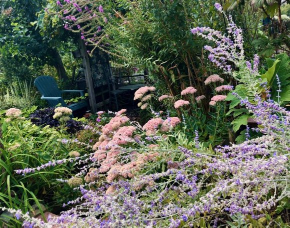 Updated: Drunken Melee Erupts in Community Garden on Saturday Mostly known for its absorption in natural beauty, the Roosevelt Island Garden Club has also been home to less savory activities.